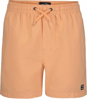Billabong Boys' Layback 4-Way Stretch Swim Trunks with UPF 50  Sun Protection, Quick Dry Bathing Suit