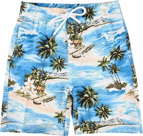 Boys Swim Trunks Boys Quick Dry Shorts Summer Beach Shorts