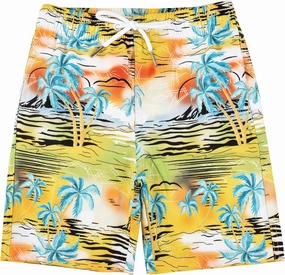 Boys Swim Trunks Boys Quick Dry Shorts Summer Beach Shorts