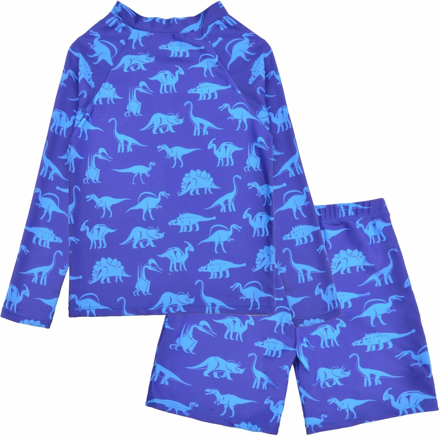 PASHOP Boys Swimsuit Rash Guard Boys' Swimwear Dinosaur Swimming Suits Bathing Suit for Toddler Boys Swim Trunk