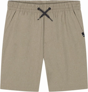 Quiksilver Boys' Eddie Pull-on Amphibian Hybrid Shorts, Water Friendly with Straight Leg Fit
