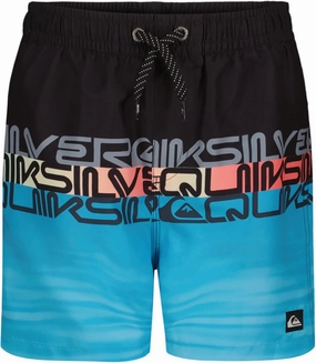 Quiksilver Boys' Volley Swim Trunks with UPF 50  Sun Protection, Quick Dry Bathing Suit Shorts