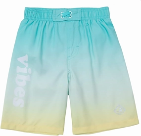 Rokka&Rolla Boys Swim Trunks Toddler Quick Dry UPF 50  Beach Shorts Little Kids Bathing Suit Swimwear (2T-5T)
