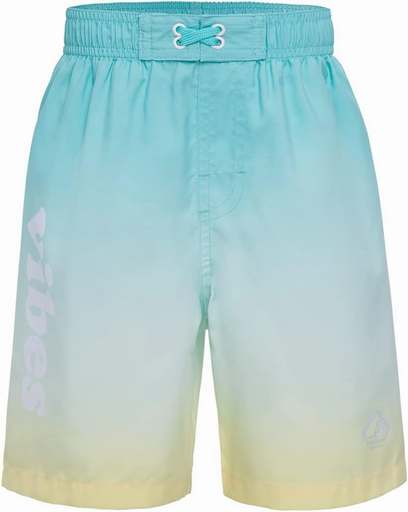 Rokka&Rolla Boys Swim Trunks Toddler Quick Dry UPF 50  Beach Shorts Little Kids Bathing Suit Swimwear (2T-5T)