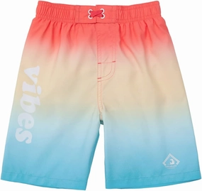 Rokka&Rolla Boys Swim Trunks Toddler Quick Dry UPF 50  Beach Shorts Little Kids Bathing Suit Swimwear (2T-5T)