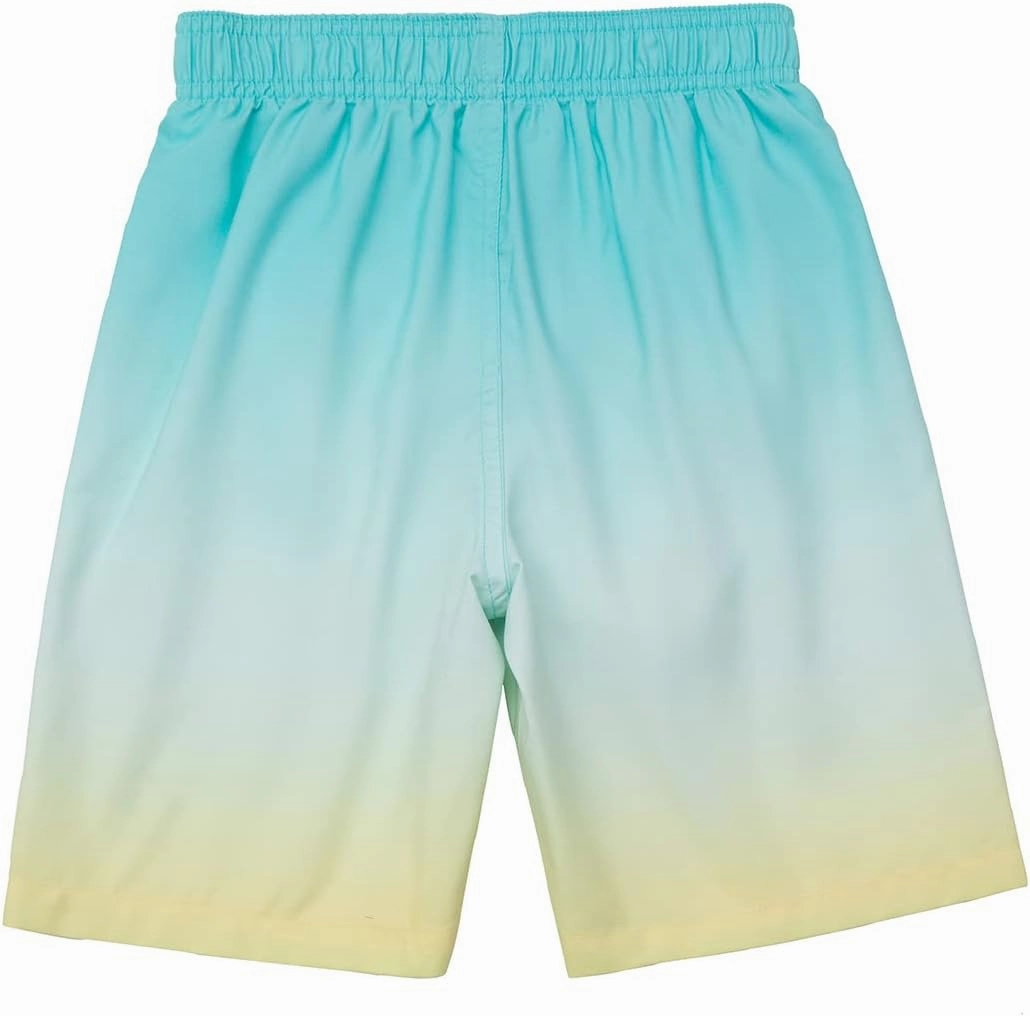 Rokka&Rolla Boys Swim Trunks Toddler Quick Dry UPF 50  Beach Shorts Little Kids Bathing Suit Swimwear (2T-5T)